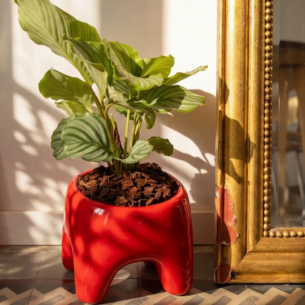 Pots de fleurs - Cache-pot BUDDY – Rouge Poppy - BIBAH