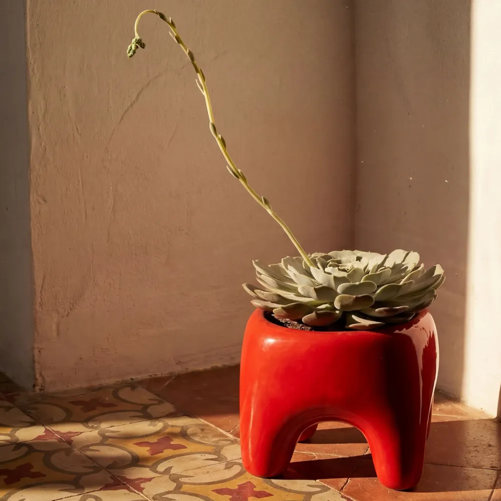 Pots de fleurs - Cache-pot BUDDY – Rouge Poppy - BIBAH