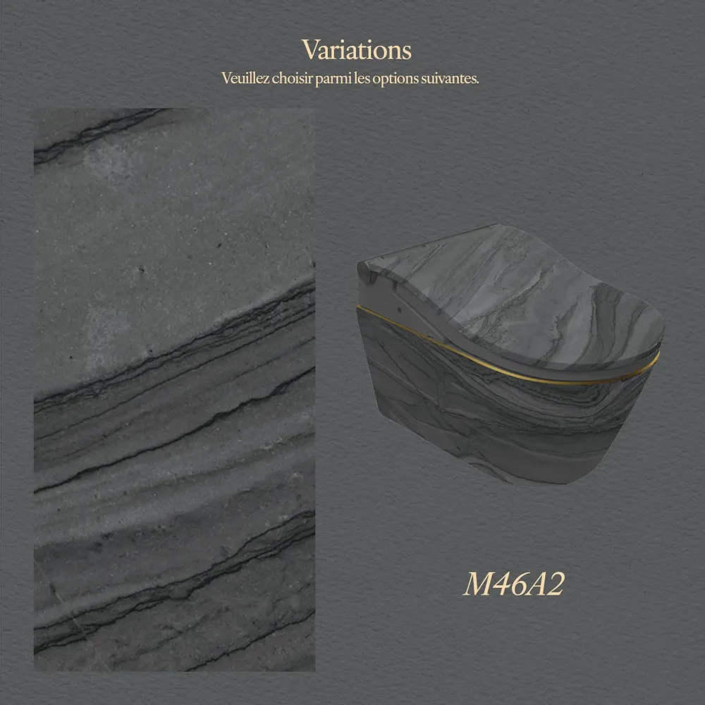 Ceramic - Noir Series – RW edition - Toilets - ARTOLETTA® MAISON COLLECTION