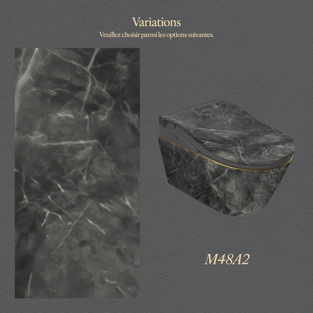 Ceramic - Noir Series – RW edition - Toilets - ARTOLETTA® MAISON COLLECTION