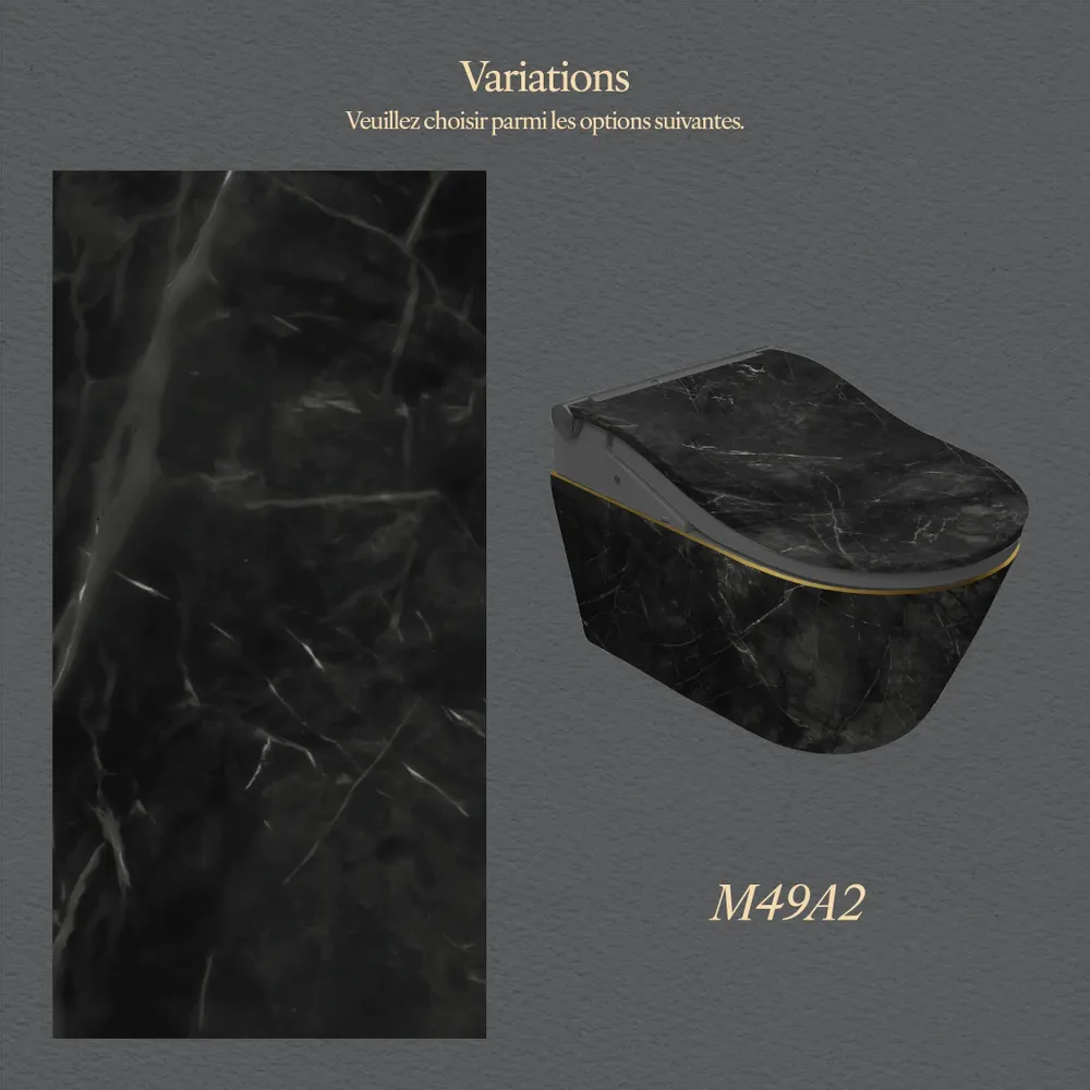 Ceramic - Noir Series – RW edition - Toilets - ARTOLETTA® MAISON COLLECTION
