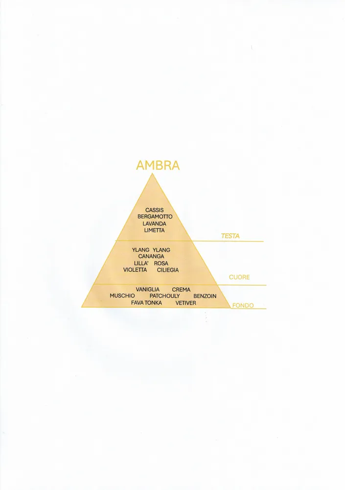 Parfums d'intérieur - MINITRIGGER 100ML AME' AMBRA - AMÉ