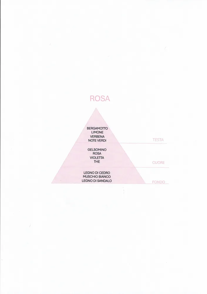 Parfums d'intérieur - DIFFUSORE 200 ML AME' ROSA - AMÉ