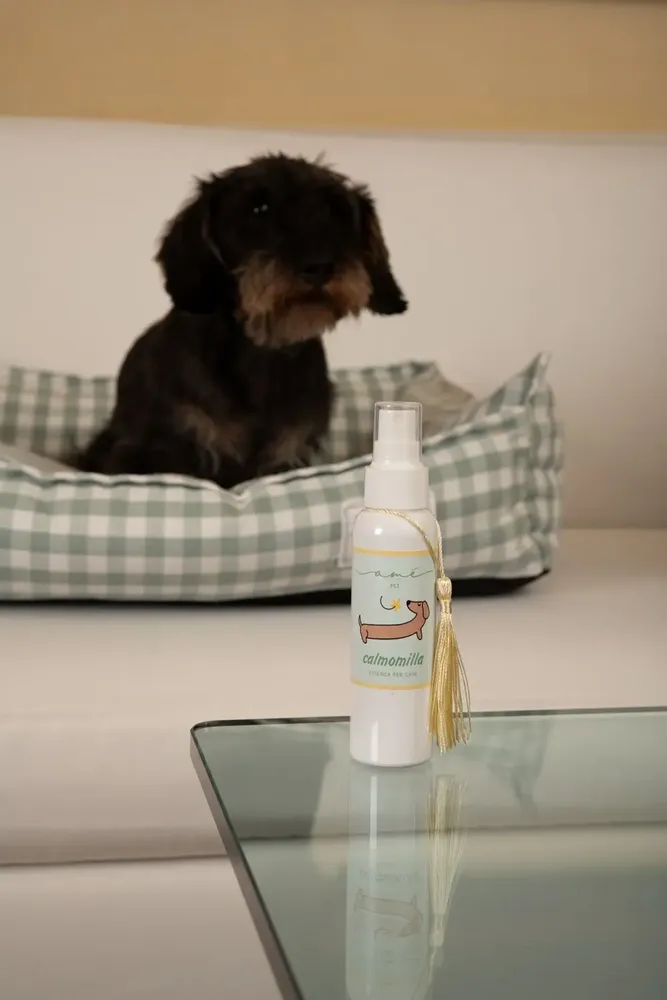 Senteurs - SPRAY AME' CALMOMILLA 100 ML - AMÉ