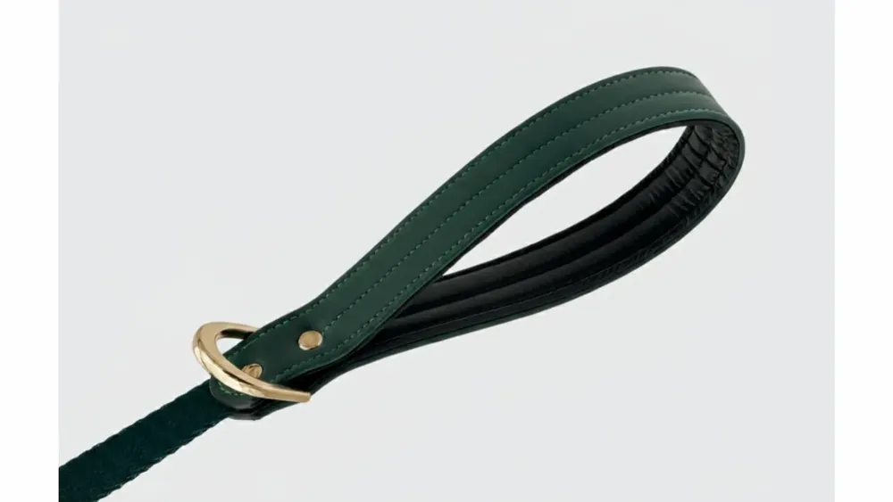Cadeaux - Laisse Churchill - laisse pour chien - vert - 90/150 cm - BY CHURCHILL.®