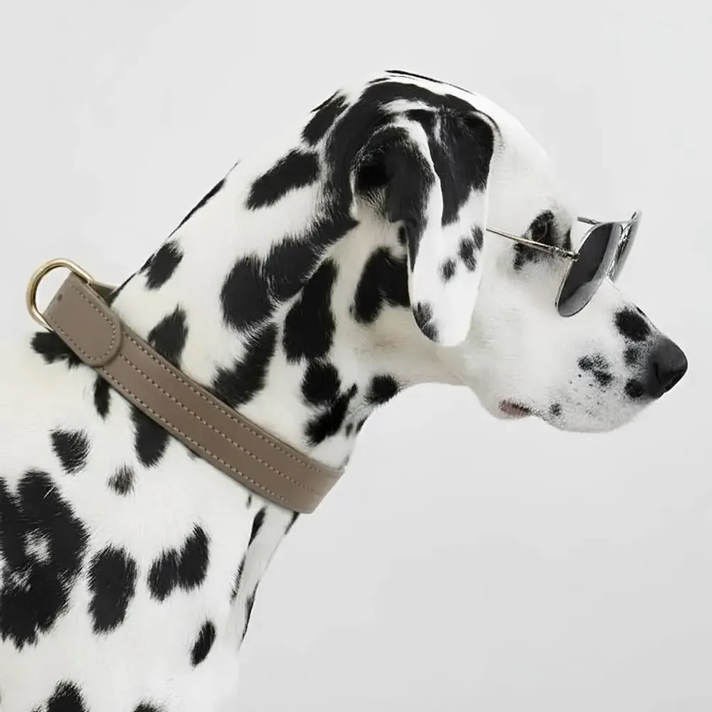 Cadeaux - Collier Churchill. - collier pour chien - marron - BY CHURCHILL.®
