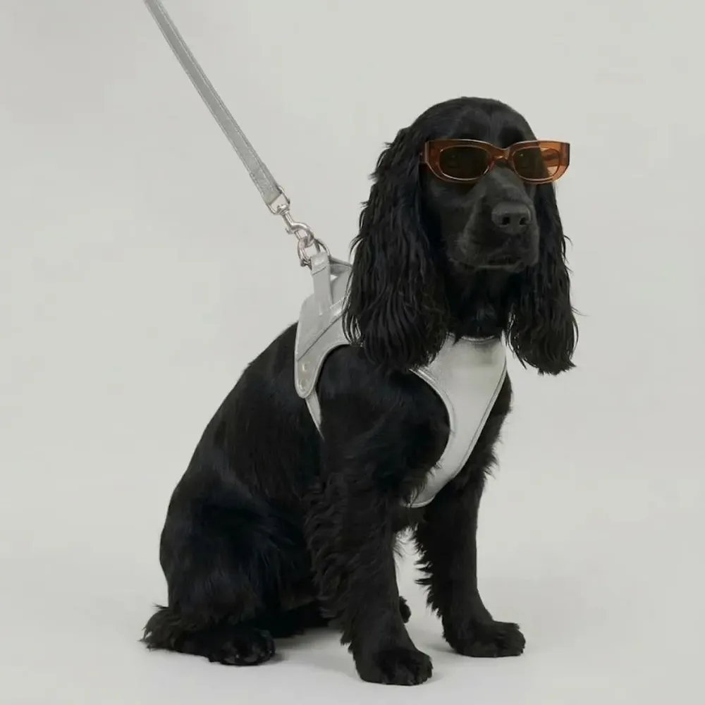 Cadeaux - Harnais Churchill. - harnais pour chien - argenté - BY CHURCHILL.®