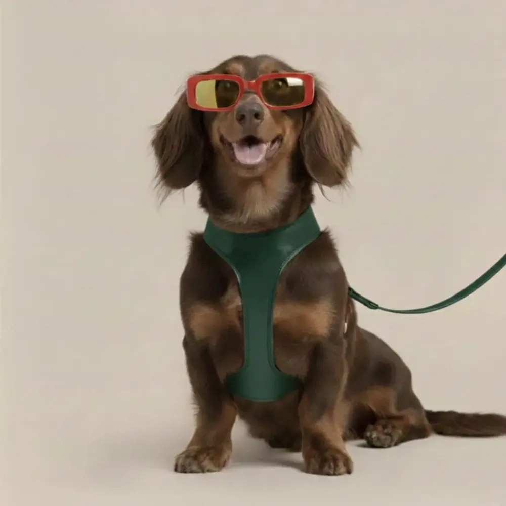 Cadeaux - Harnais Churchill. - harnais pour chien - vert - BY CHURCHILL.®