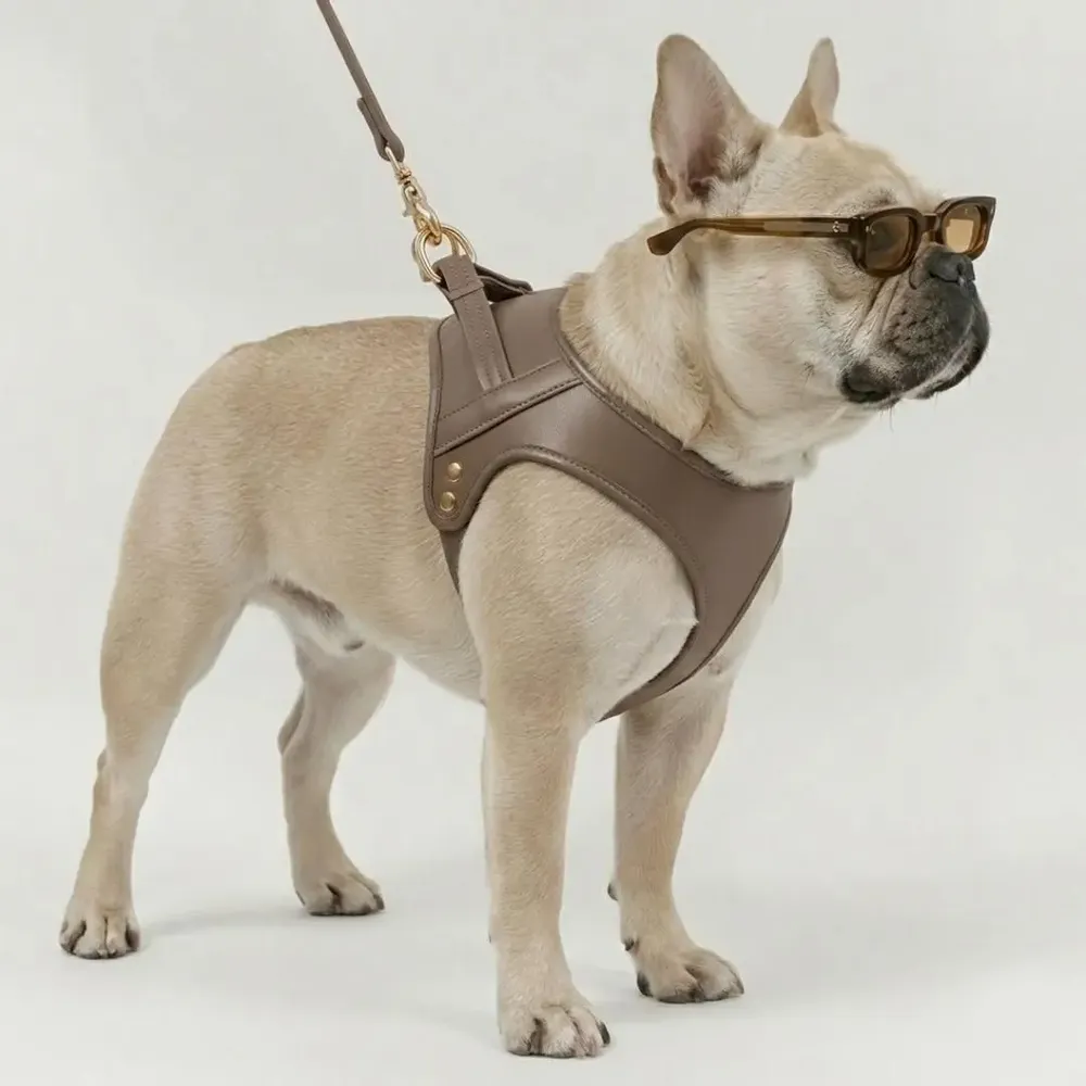 Cadeaux - Harnais Churchill. - harnais pour chien - marron - BY CHURCHILL.®