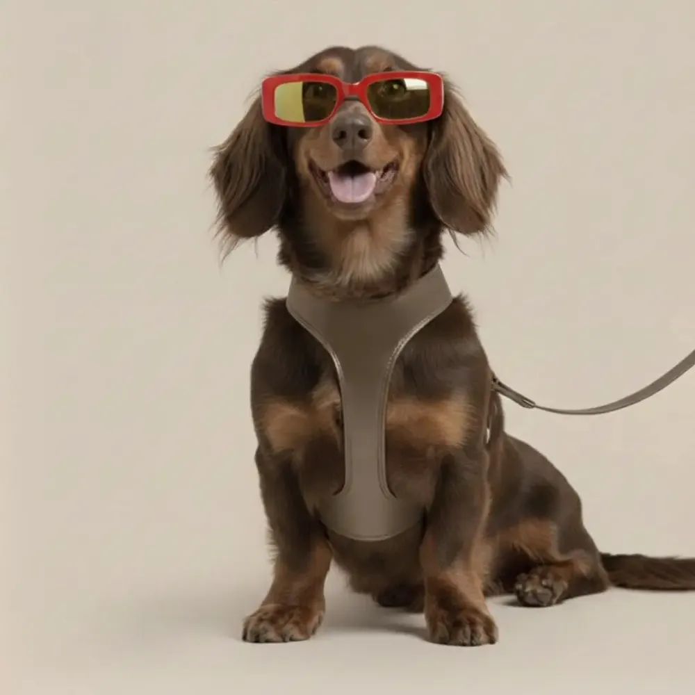 Cadeaux - Harnais Churchill. - harnais pour chien - marron - BY CHURCHILL.®