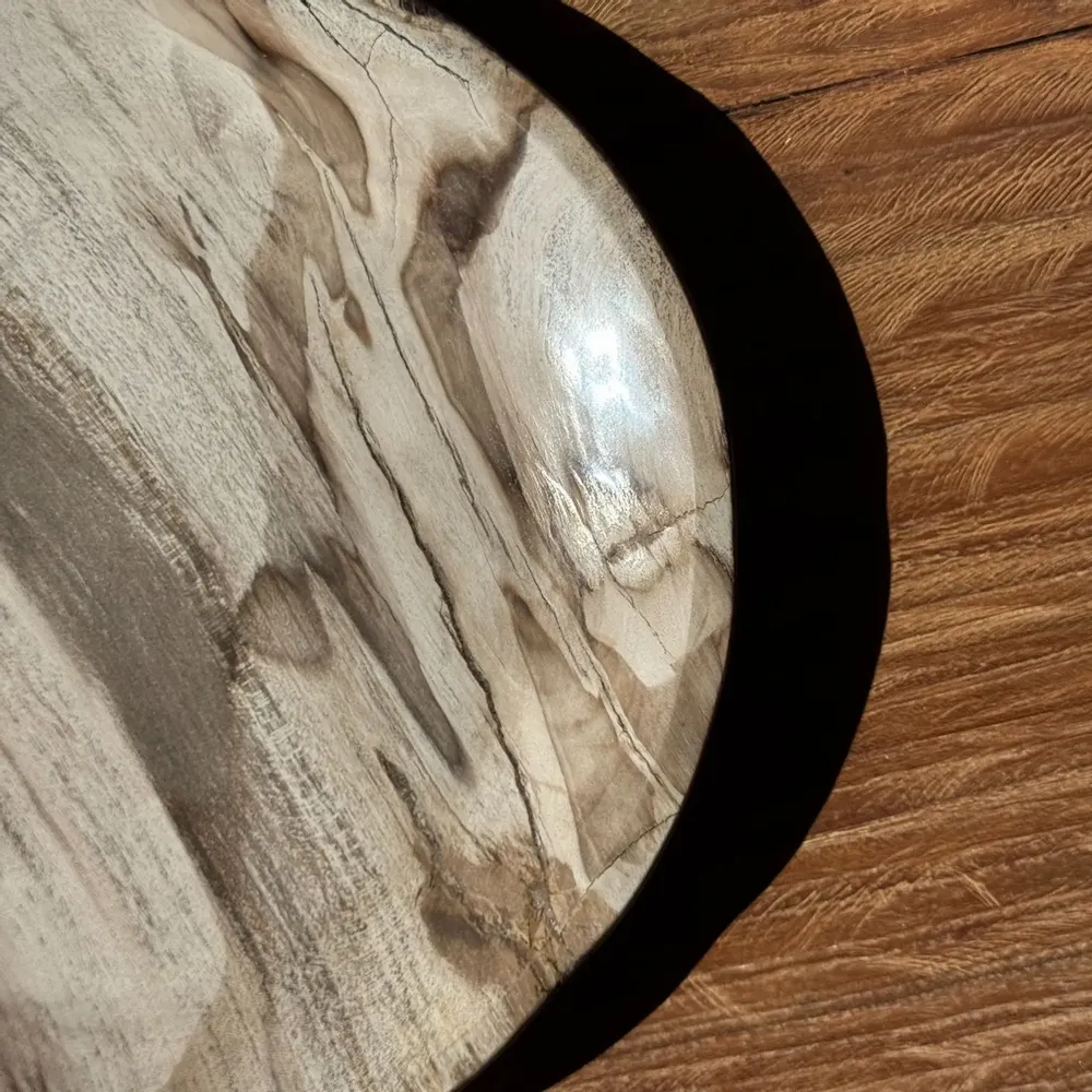 Unique pieces - Empty pocket, dish or circular plate in striped gray petrified wood - OFFICE OBJETS