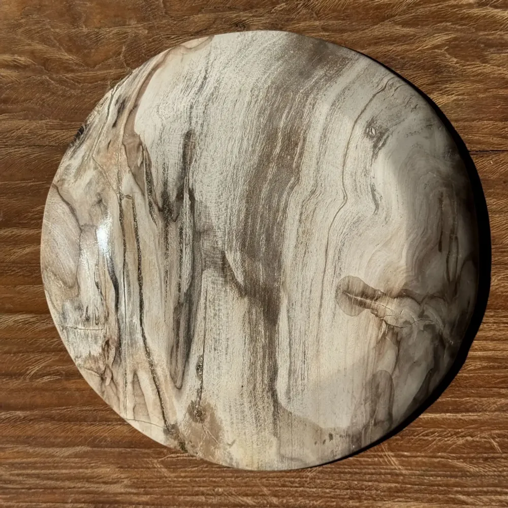Unique pieces - Empty pocket, dish or circular plate in striped gray petrified wood - OFFICE OBJETS