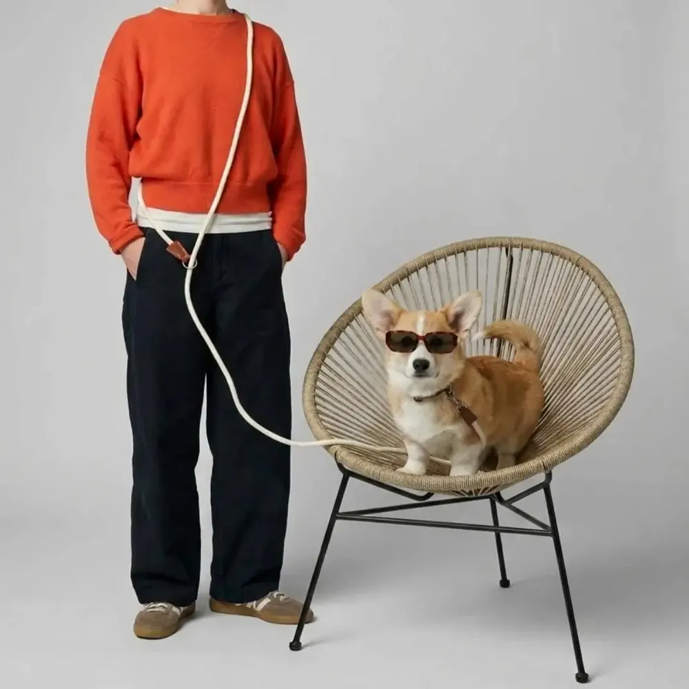 Cadeaux - Laisse ROSA. - Laisse pour chien - blanc crème - 175 cm - BY CHURCHILL.®