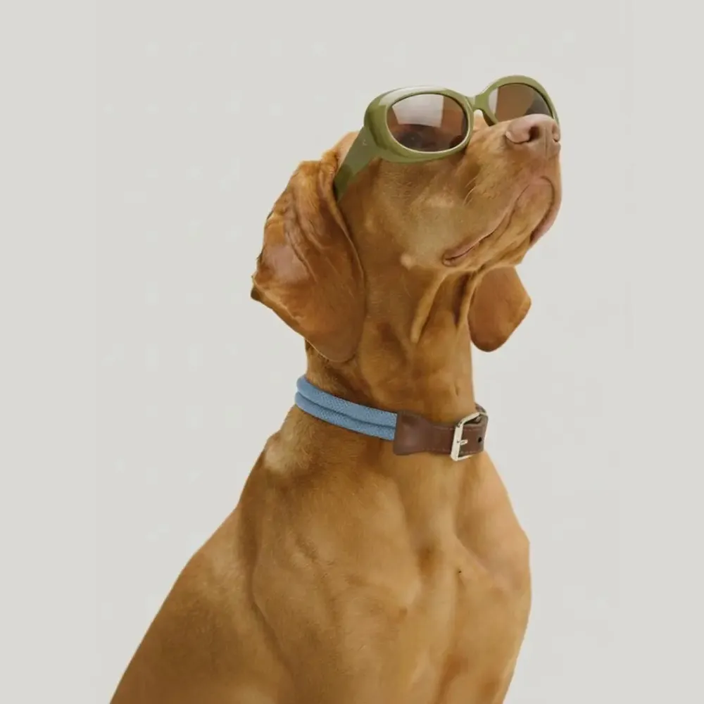 Gifts - ROSA COLLAR. - Dog collar - Blue - BY CHURCHILL.®