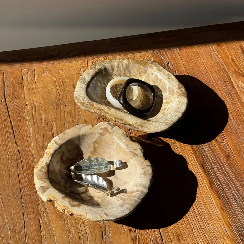 Unique pieces - Beige round petrified wood cup D21- 3780 - OFFICE OBJETS