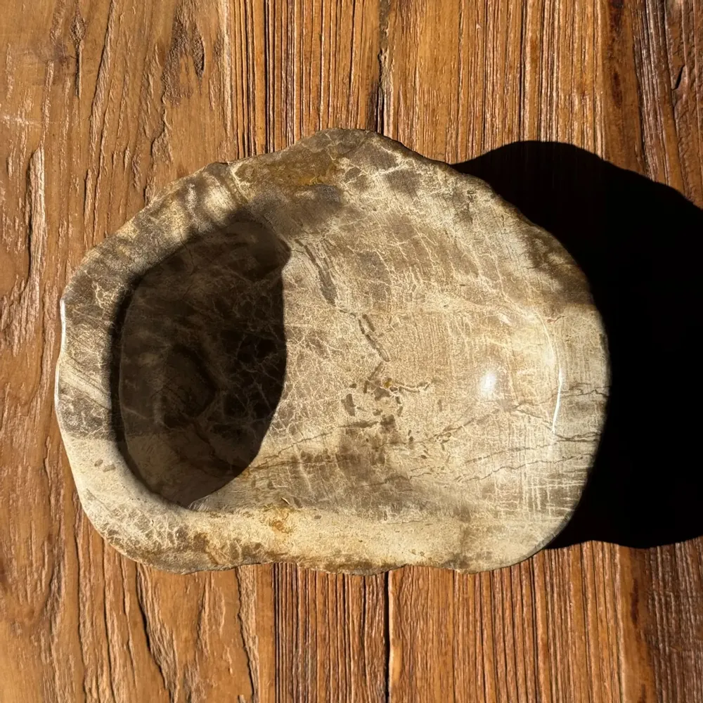Unique pieces - Beige oval petrified wood bowl 24x19 - 3781 - OFFICE OBJETS