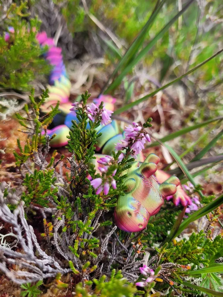 Gifts - Articulated dragon figurine - ZANIMIZ