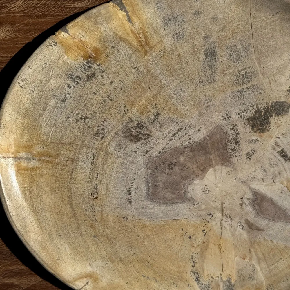 Pièces uniques - Vide poche ou plat en bois pétrifié beige plusieurs taches grises - OFFICE OBJETS