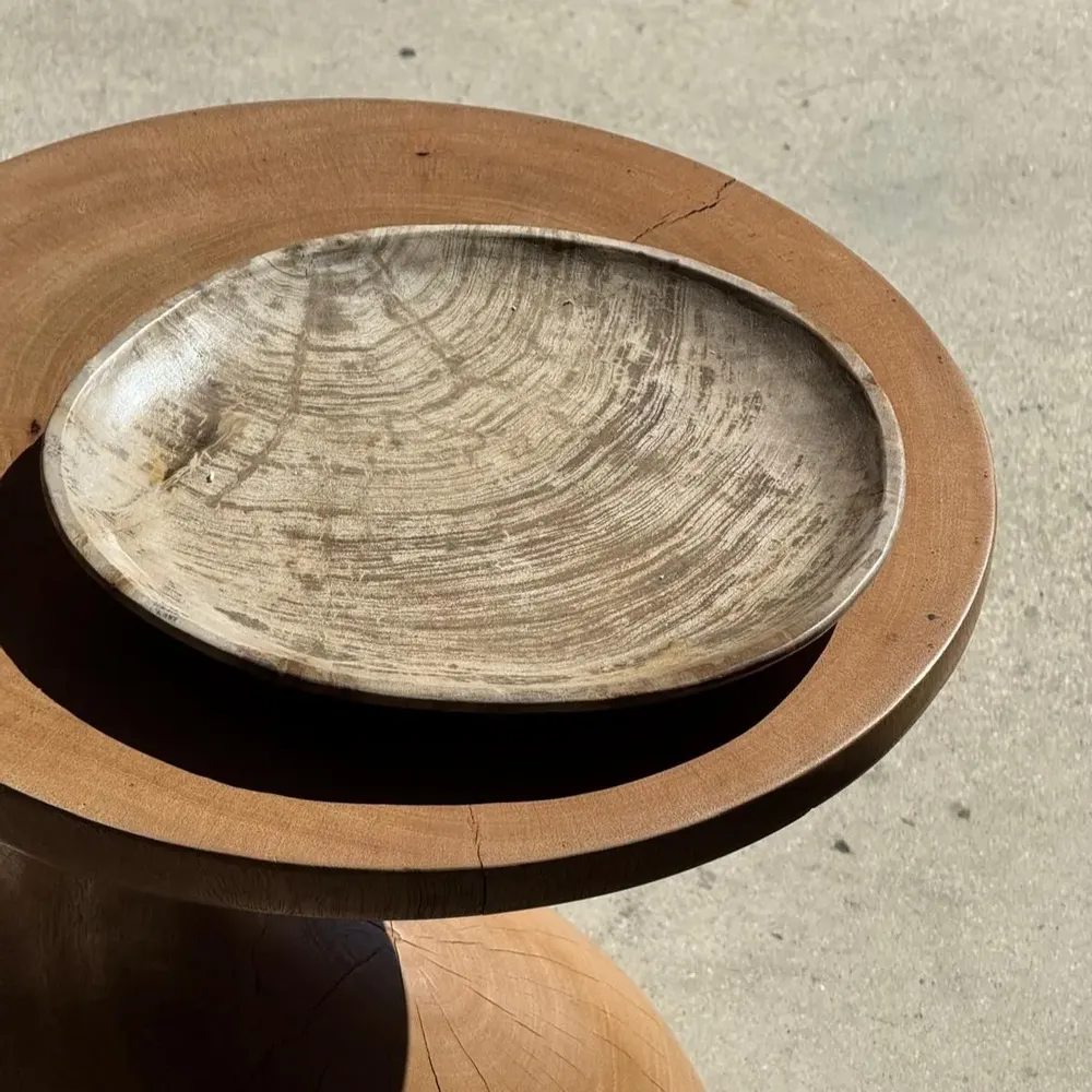 Unique pieces - Empty pouch or dish in light gray petrified wood with rings D27x25 -33 - OFFICE OBJETS