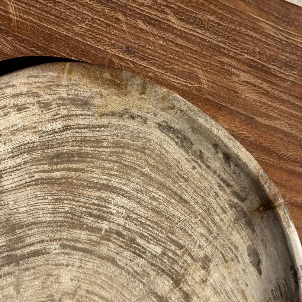 Unique pieces - Empty pouch or dish in light gray petrified wood with rings D27x25 -33 - OFFICE OBJETS