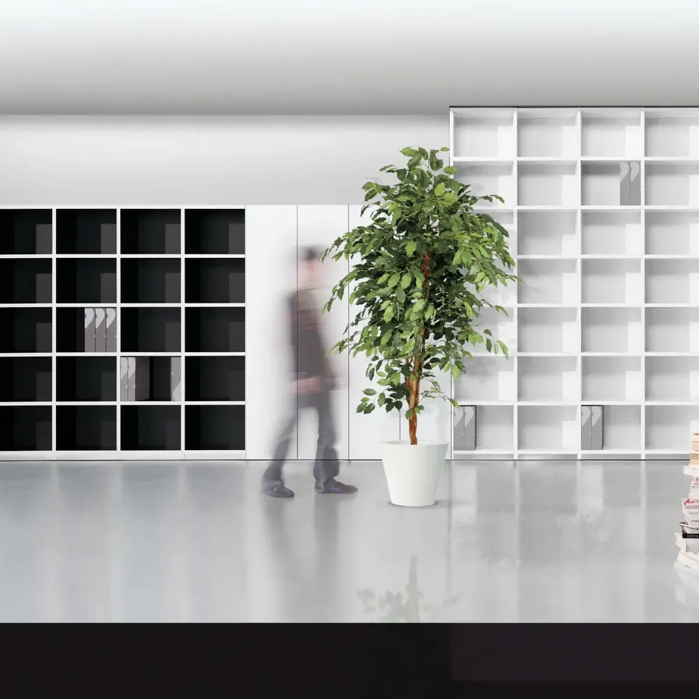 Bookshelves - 6Xme - ULTOM