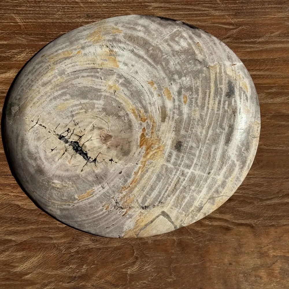 Pièces uniques - Vide poche ou plat en bois pétrifié gris cernes bord noir D29,5x25,5 - OFFICE OBJETS