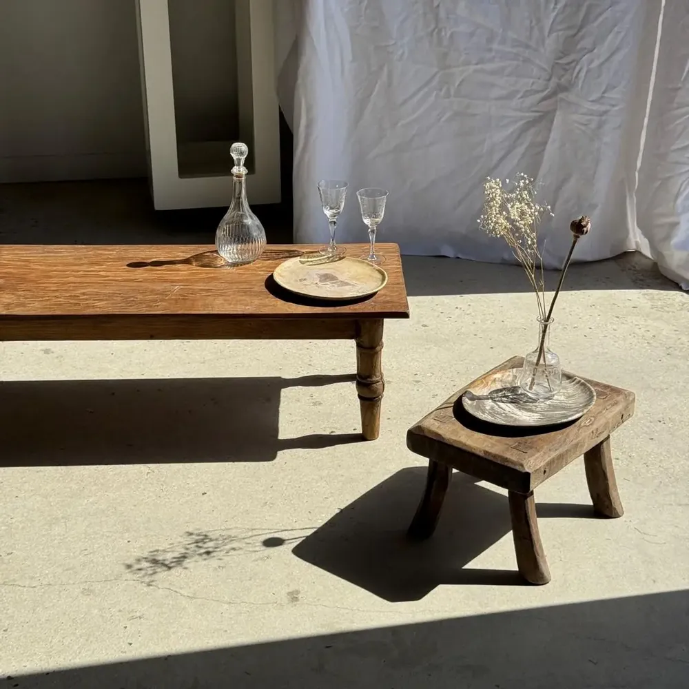 Unique pieces - Petrified wood dish or pouch empty D27-23 -3322 - OFFICE OBJETS