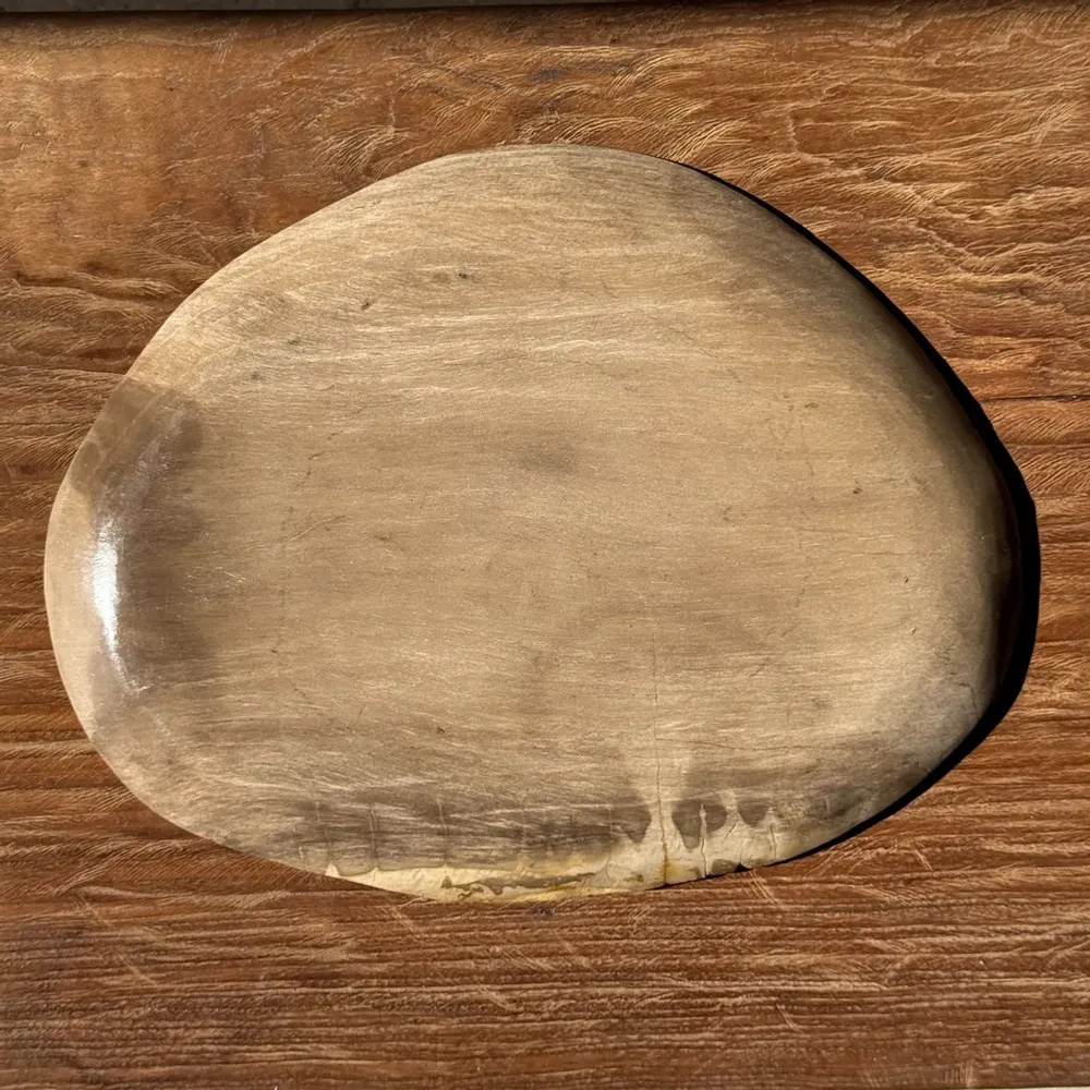 Unique pieces - Large empty pouch or dish in beige oval petrified wood D36x28 -3783 - OFFICE OBJETS