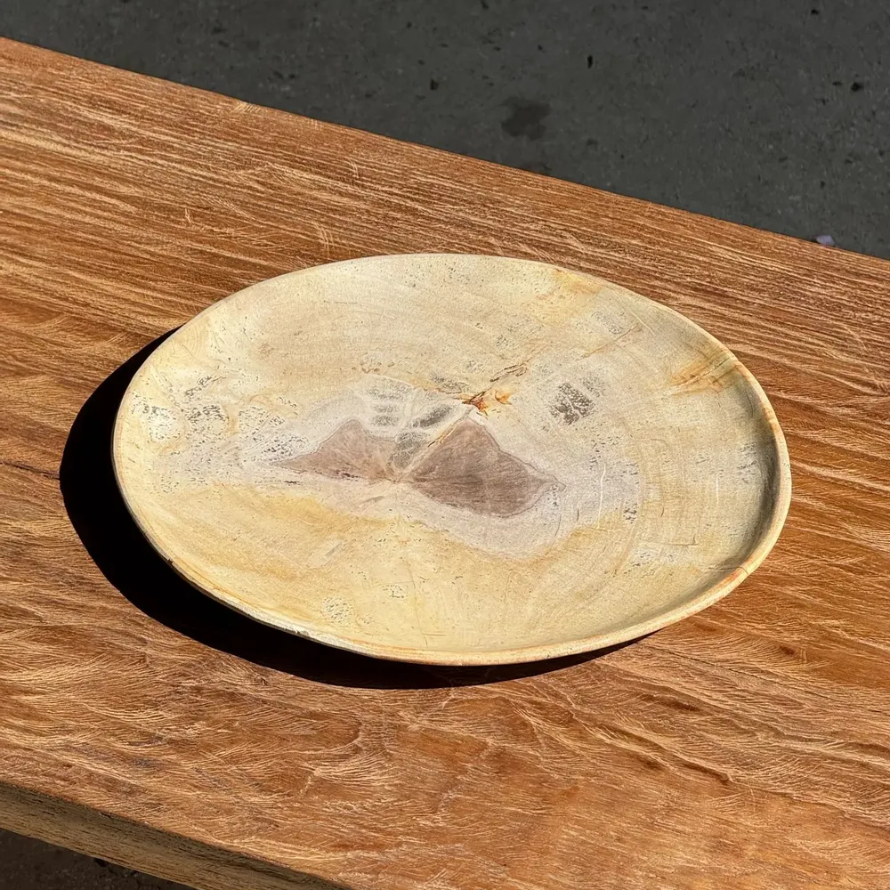 Unique pieces - Empty pouch or dish in beige petrified wood with brown stain in the ce - OFFICE OBJETS
