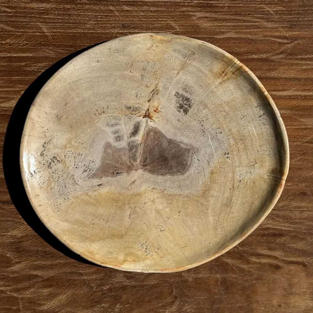 Unique pieces - Empty pouch or dish in beige petrified wood with brown stain in the ce - OFFICE OBJETS
