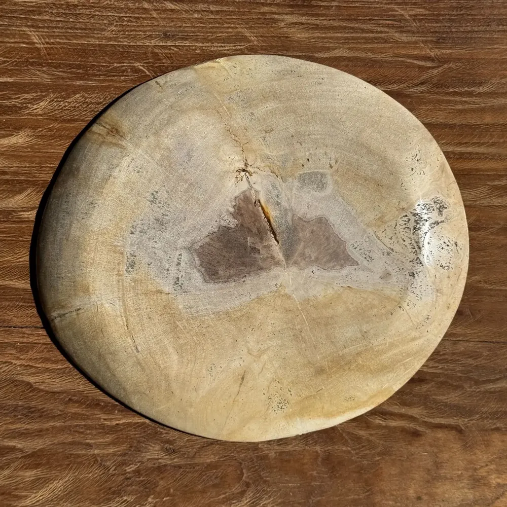 Unique pieces - Empty pouch or dish in beige petrified wood with brown stain in the ce - OFFICE OBJETS