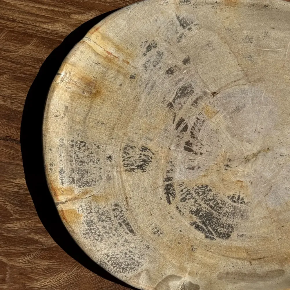 Pièces uniques - Vide poche ou plat en bois pétrifié ovale cernes grises D28x24 -3779 - OFFICE OBJETS