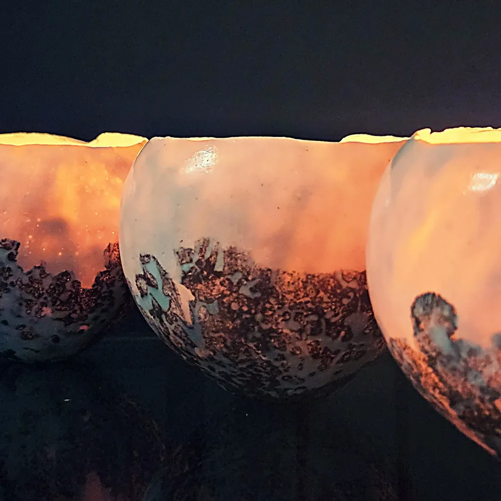 Decorative objects - Shell - PONPON CURIOSITAS