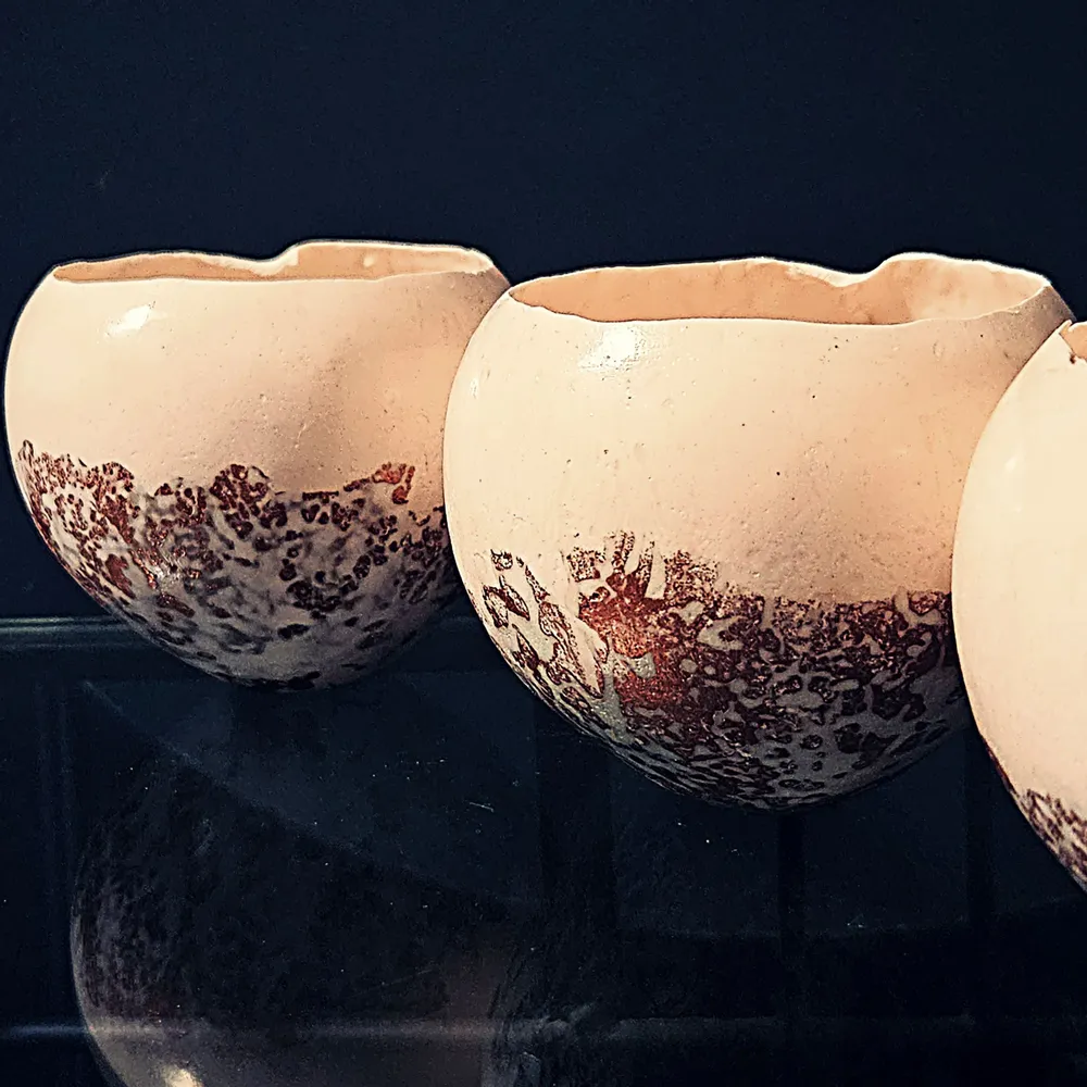 Decorative objects - Shell - PONPON CURIOSITAS