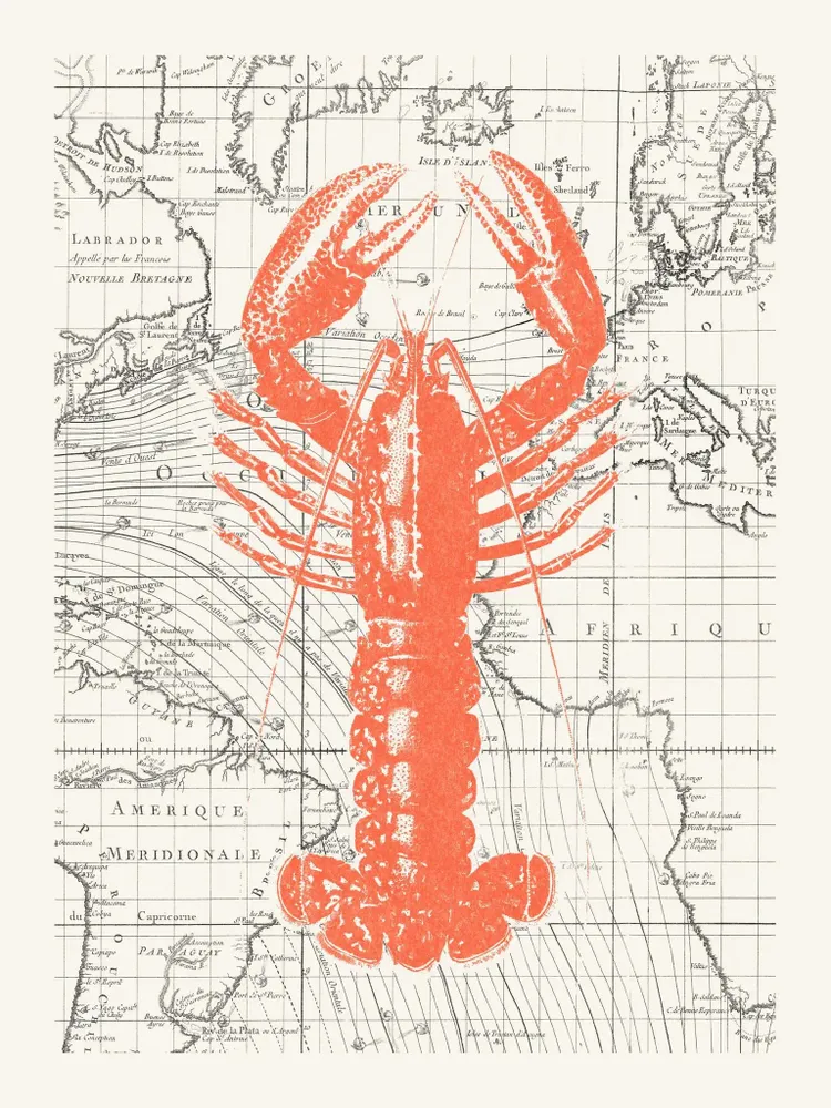 Poster - Atlantic lobster - SALAM ÉDITIONS