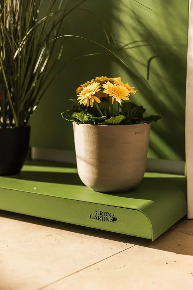 Murs végétaux - Urbn Botanical - Reseda green - Vertical Garden - URBN GARDN