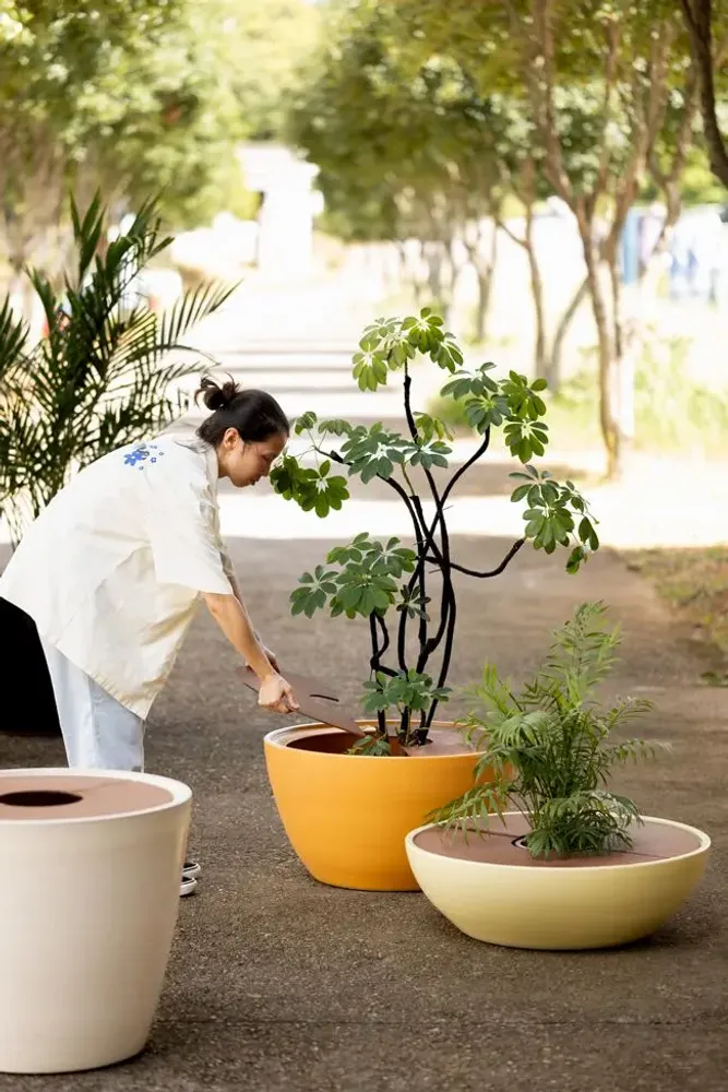 Pots de fleurs - Disc Planters - WL CERAMICS