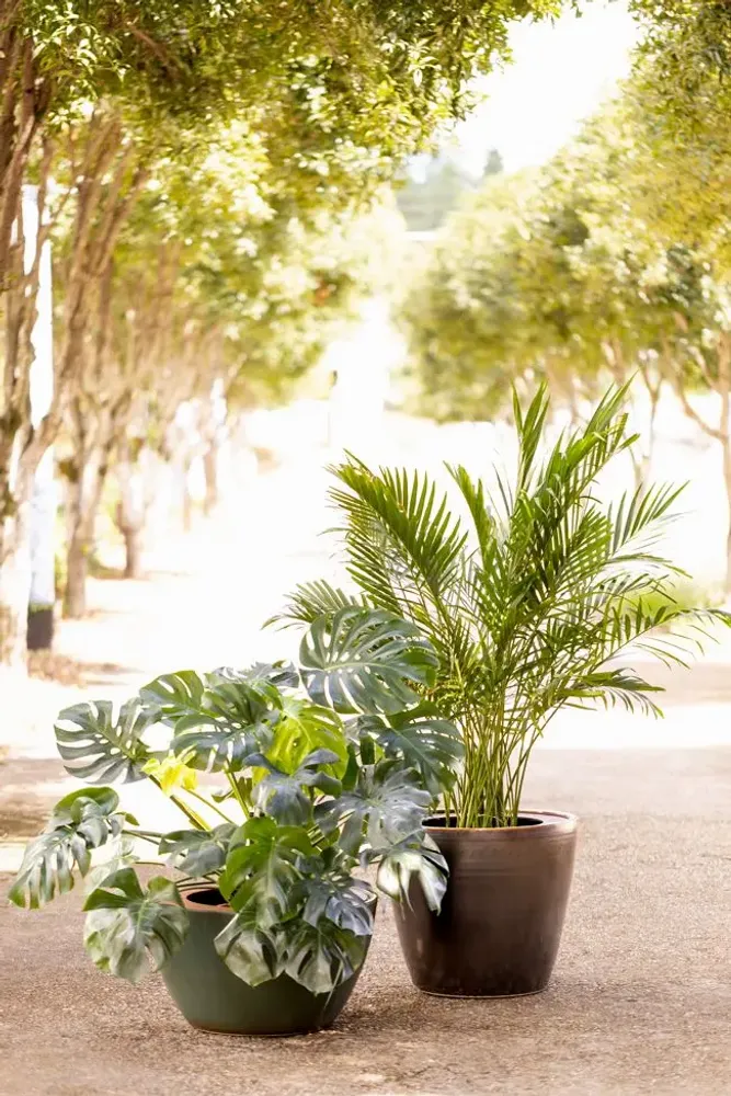 Pots de fleurs - Disc Planters - WL CERAMICS