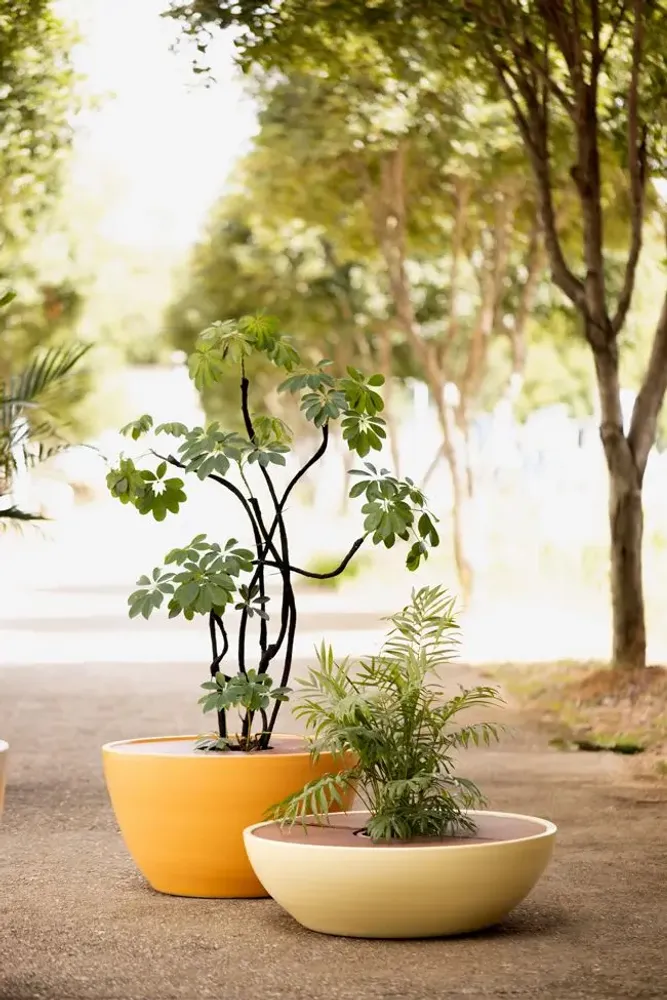 Pots de fleurs - Disc Planters - WL CERAMICS