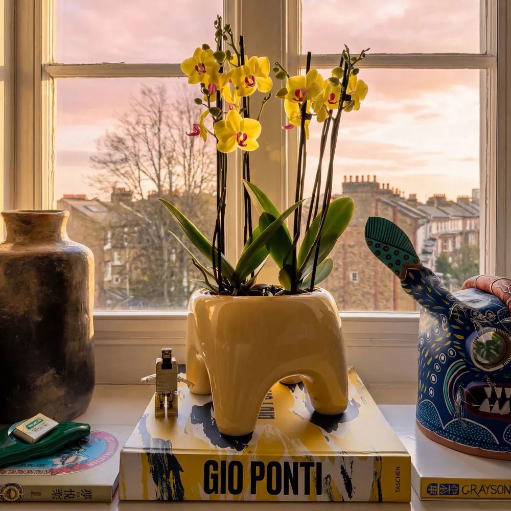 Pots de fleurs - Cache-pot BUDDY – Butter - BIBAH