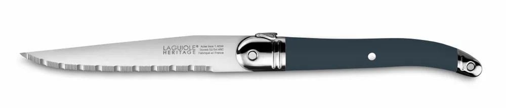 Knives - SET OF 6 LAGUIOLE ACCESS KNIVES MADE IN FRANCE ABS HANDLE - TARRERIAS - BONJEAN