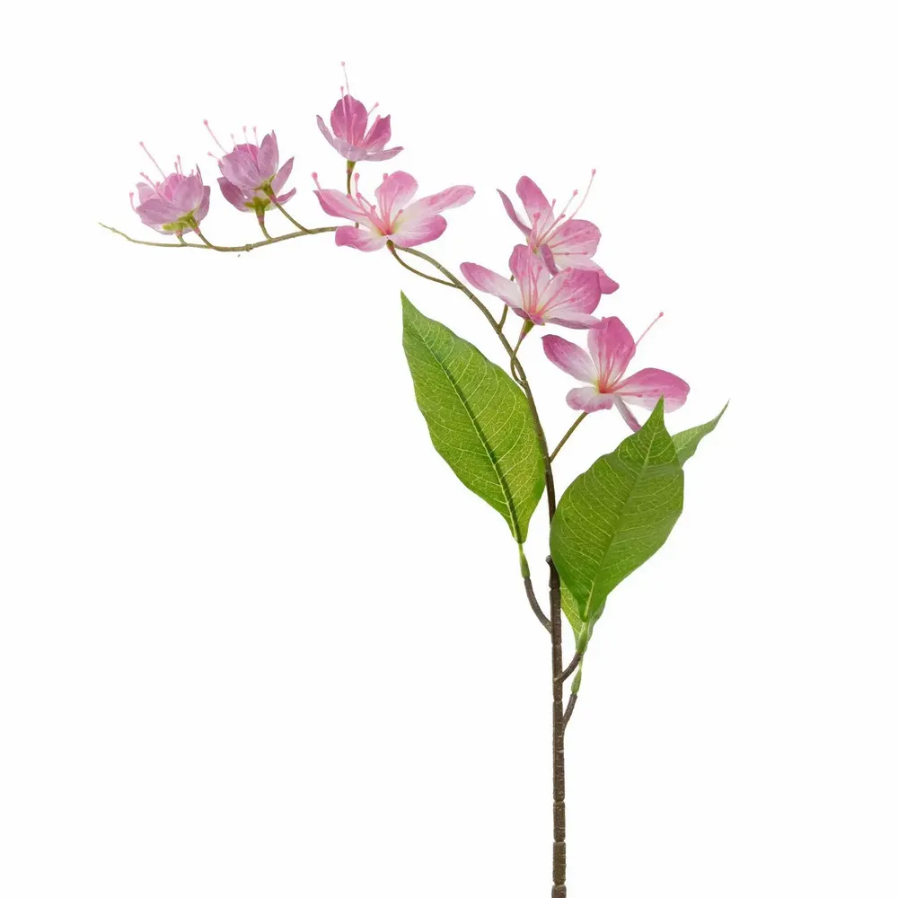 Floral decoration - ASIATIC FLOWER STEM PNK/PRPL/GRN 78CM - GOODWILL M&G