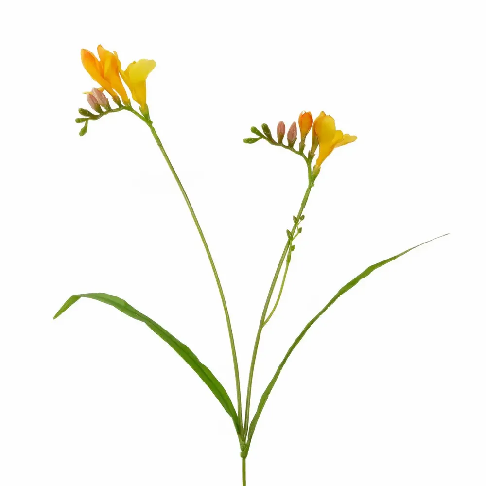 Décorations florales - FREESIA FLOWER STEM YL/OR/GRN 61CM - GOODWILL M&G