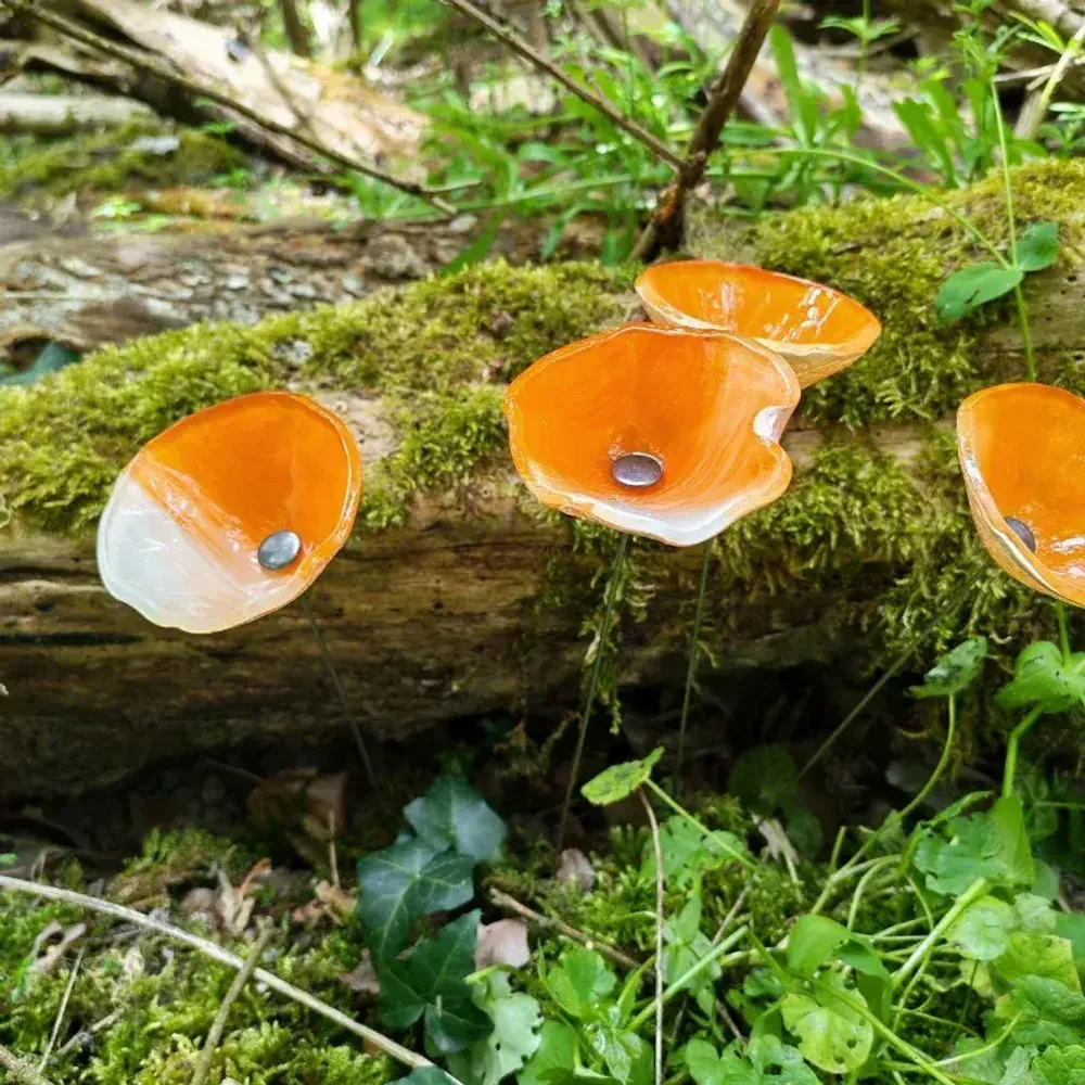 Accessoires de jardinage - Fleur de calla pour l'extérieur en crème-orange - CARNEOL GLASS