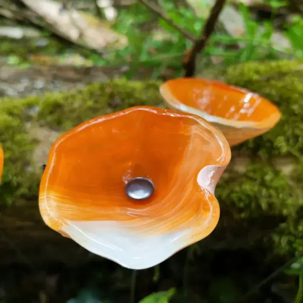 Accessoires de jardinage - Fleur de calla pour l'extérieur en crème-orange - CARNEOL GLASS
