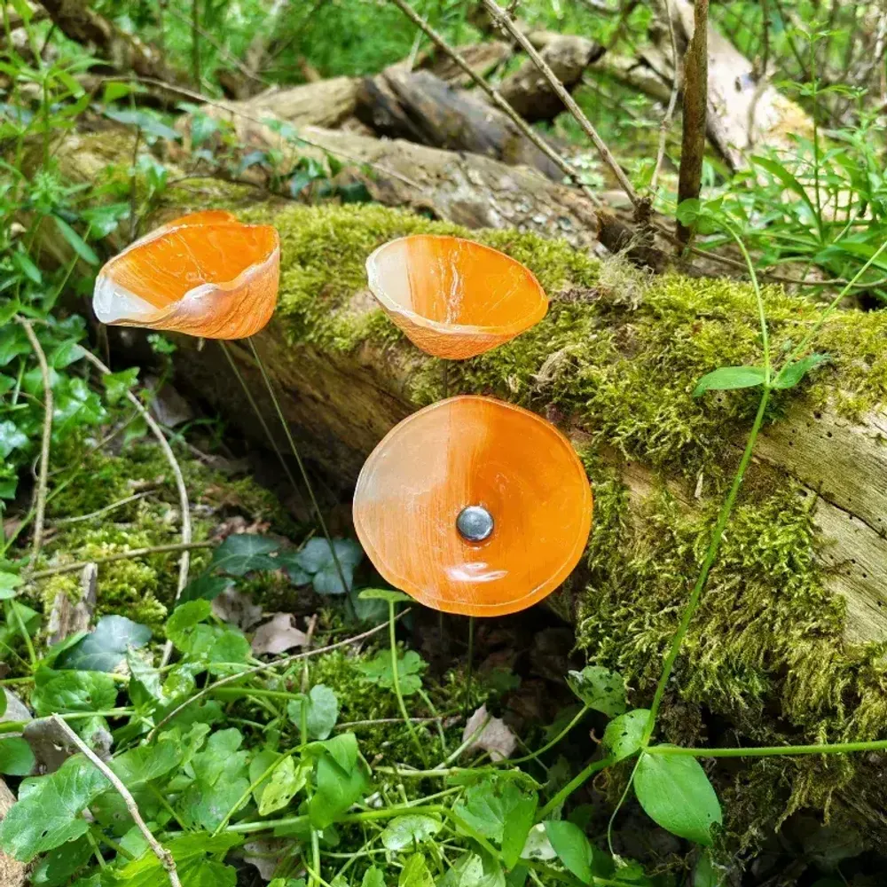 Accessoires de jardinage - Fleur de calla pour l'extérieur en crème-orange - CARNEOL GLASS