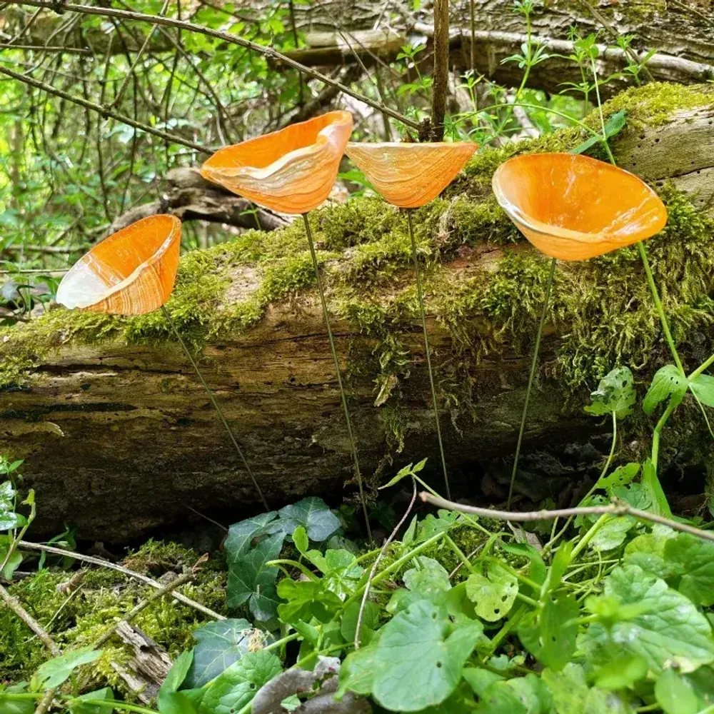 Accessoires de jardinage - Fleur de calla pour l'extérieur en crème-orange - CARNEOL GLASS