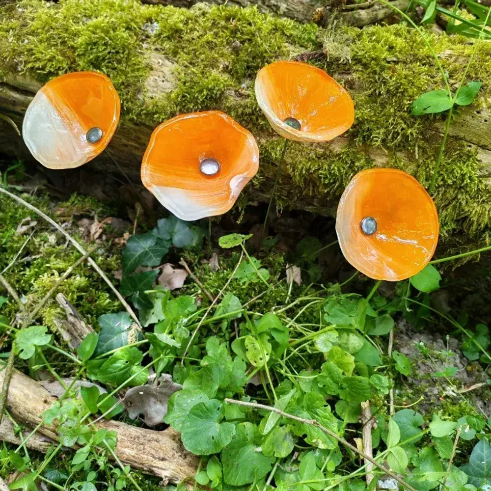 Accessoires de jardinage - Fleur de calla pour l'extérieur en crème-orange - CARNEOL GLASS