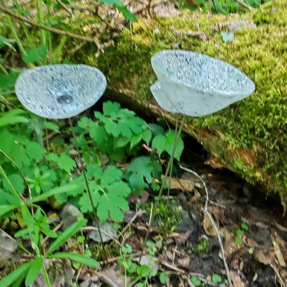 Décorations florales - Fleur de calebasse en verre de taille moyenne pour l'extérieur de couleur transparent-blanc-noir avec tige en acier inoxydable de 43 cm. - CARNEOL GLASS