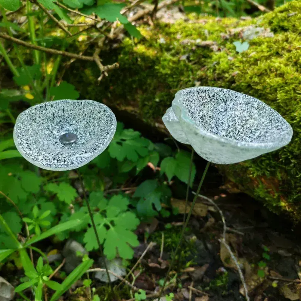 Décorations florales - Fleur de calebasse en verre de taille moyenne pour l'extérieur de couleur transparent-blanc-noir avec tige en acier inoxydable de 43 cm. - CARNEOL GLASS